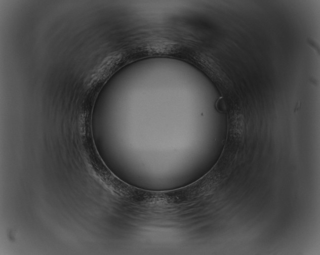 X0000101460738200807141306