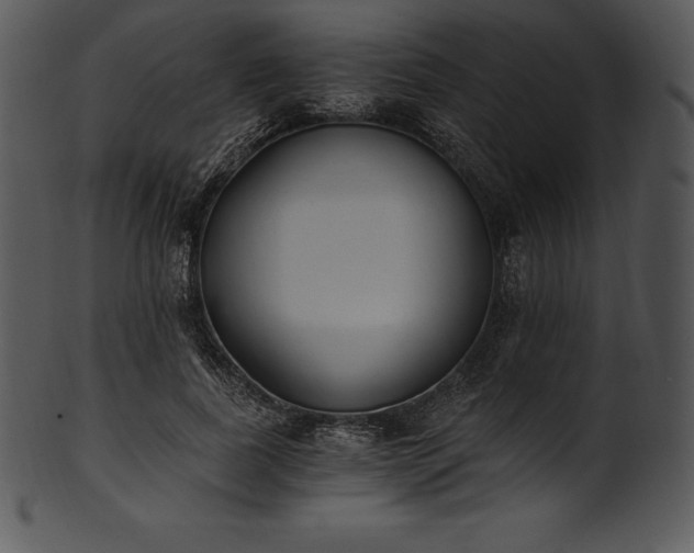 X0000101460739200807141306