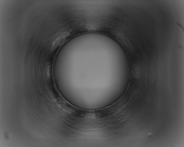 X0000101460740200807141306