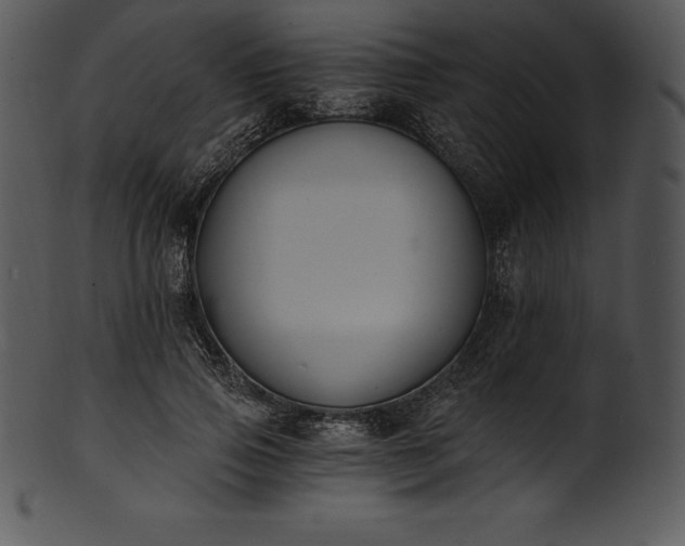 X0000101460741200807141306