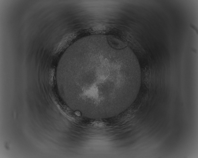 X0000101460742200807141306