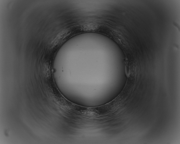 X0000101460743200807141306
