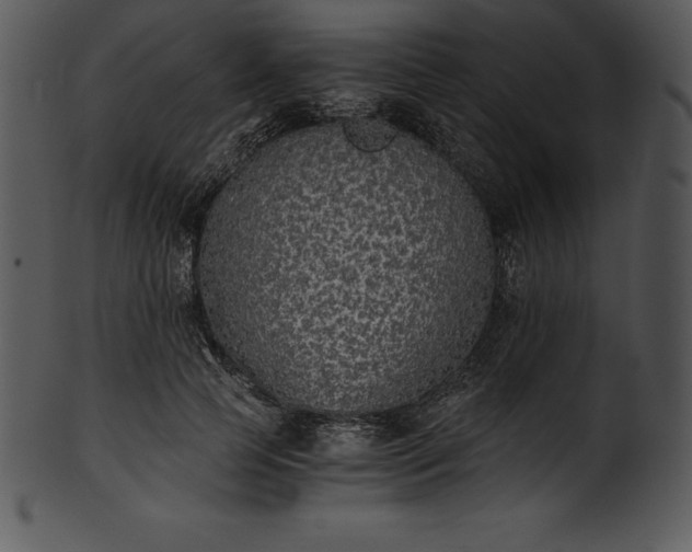 X0000101460745200807141306