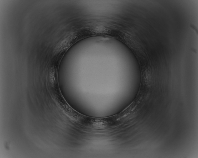 X0000101460746200807141306