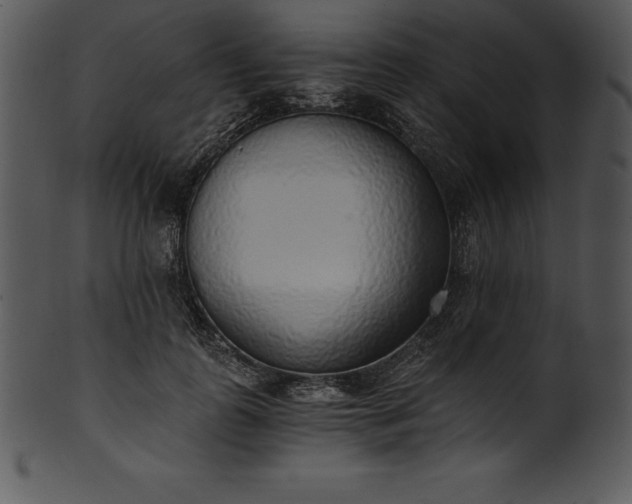 X0000101460747200807141306