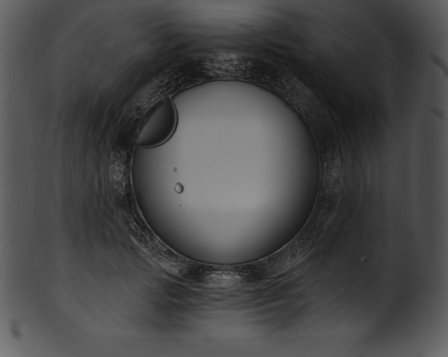 X0000101460749200807141306