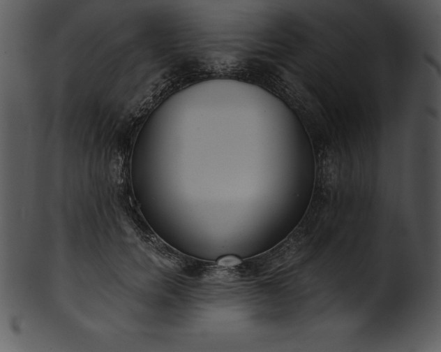 X0000101460750200807141306