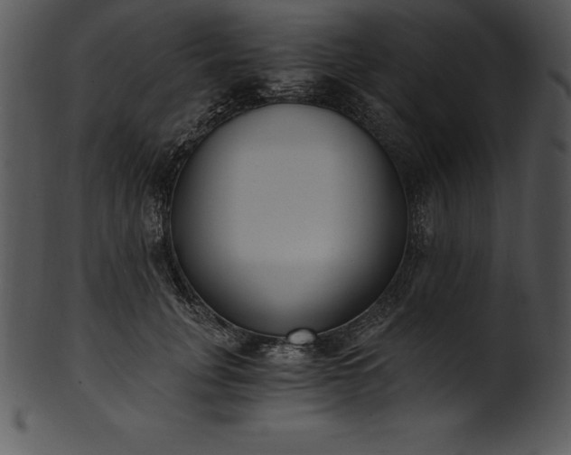 X0000101460751200807141306