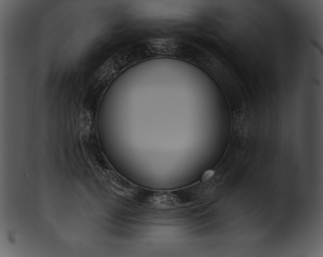 X0000101460752200807141306