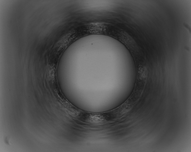 X0000101460753200807141306