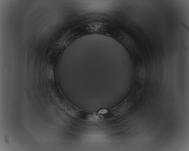 X0000101460754200807141306