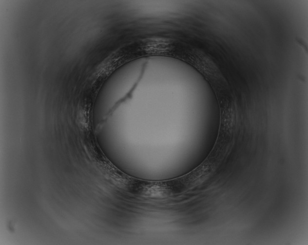 X0000101460755200807141306