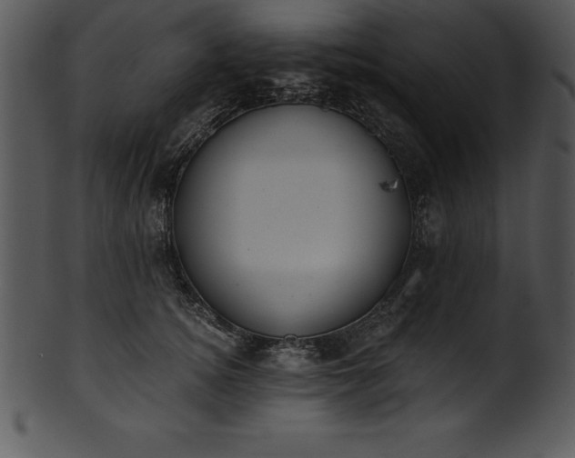 X0000101460756200807141307