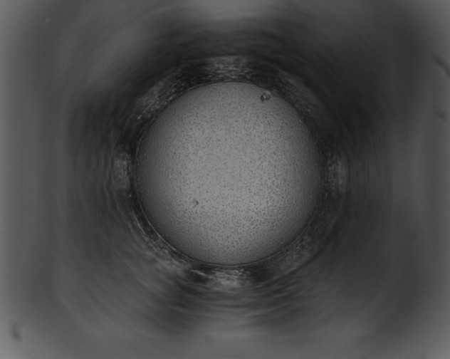 X0000101460757200807141307