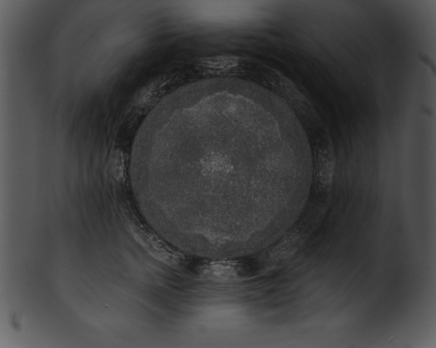 X0000101460758200807141307