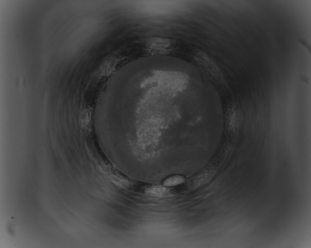X0000101460759200807141307