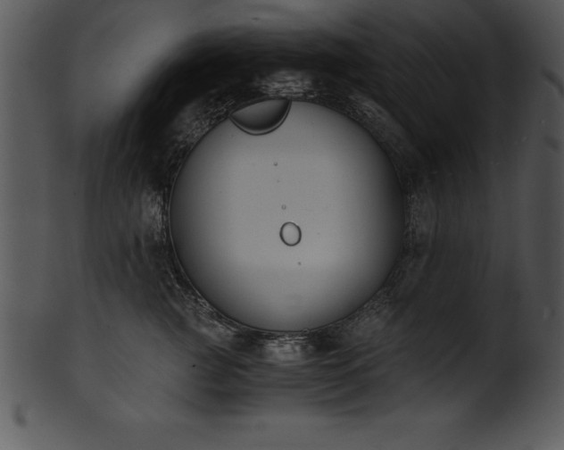 X0000101460761200807141307