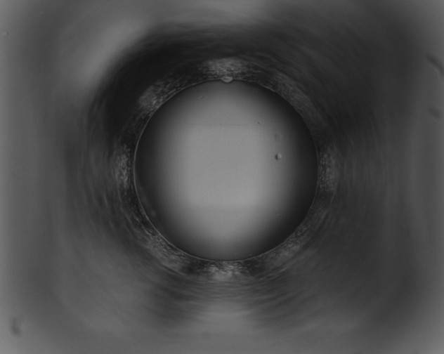 X0000101460762200807141307