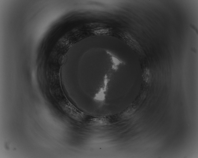 X0000101460763200807141307