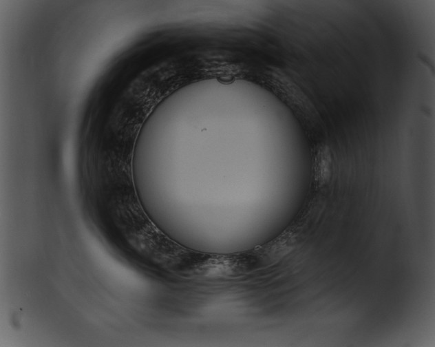 X0000101460764200807141307