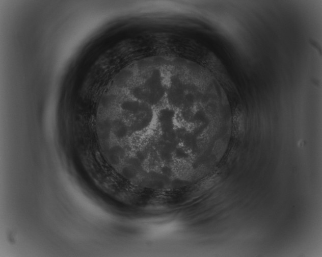 X0000101460765200807141307