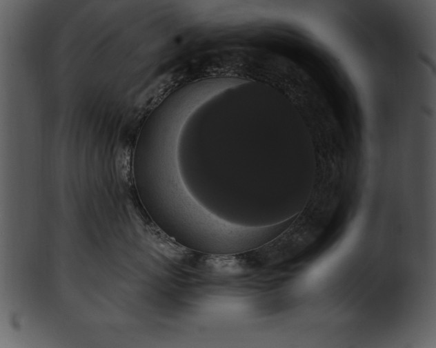 X0000101460767200807141307