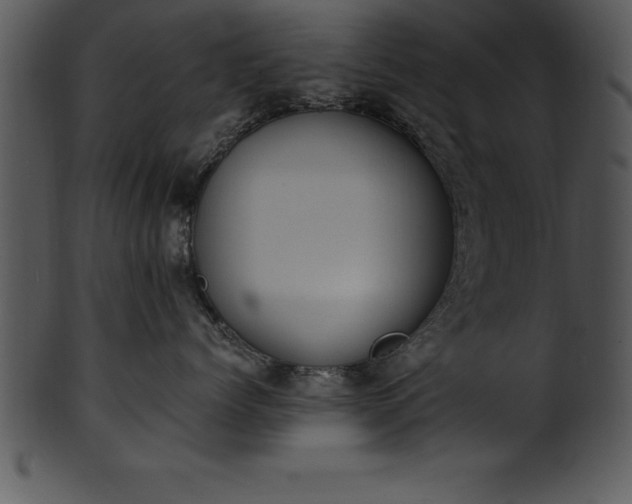X0000101460768200807141307