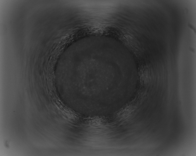 X0000101460769200807141306