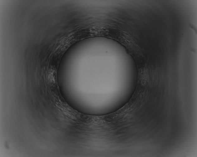 X0000101460770200807141306