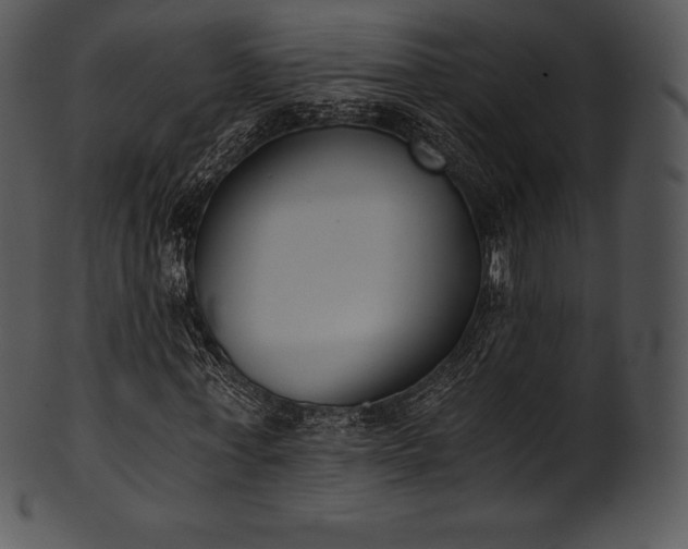 X0000101460771200807141306