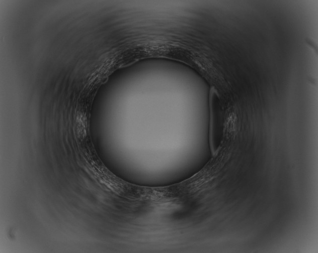 X0000101460772200807141306