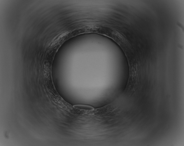 X0000101460773200807141306