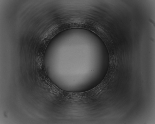 X0000101460774200807141306