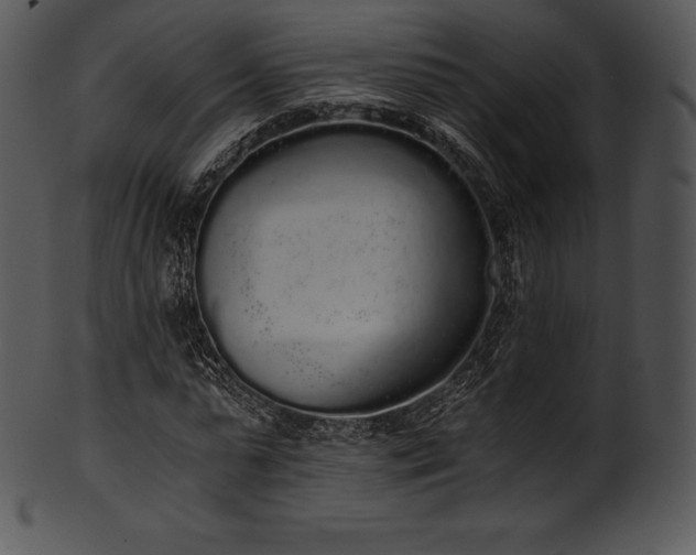 X0000101460775200807141306
