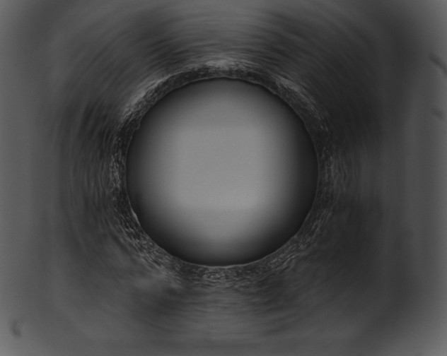 X0000101460776200807141306