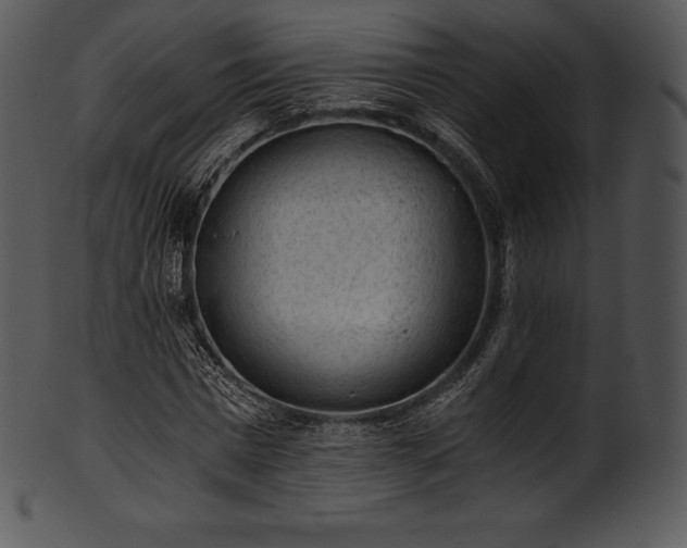 X0000101460777200807141306