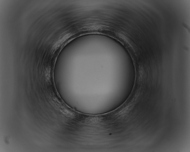 X0000101460778200807141306