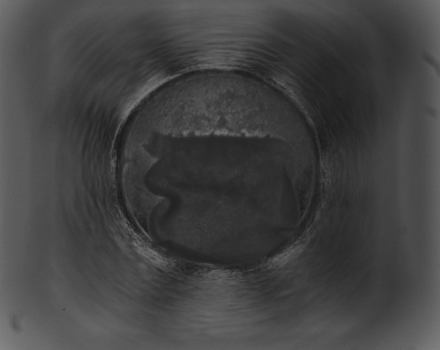 X0000101460779200807141306