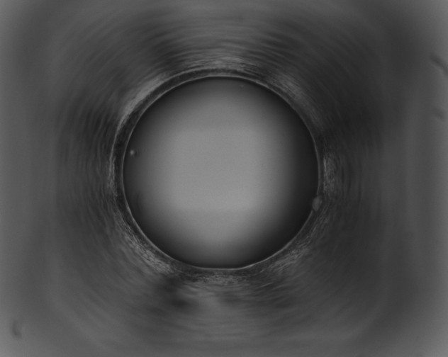 X0000101460780200807141306