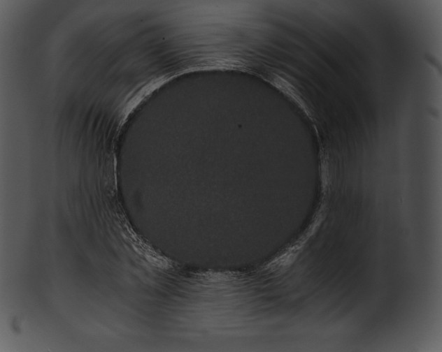 X0000101460781200807141306