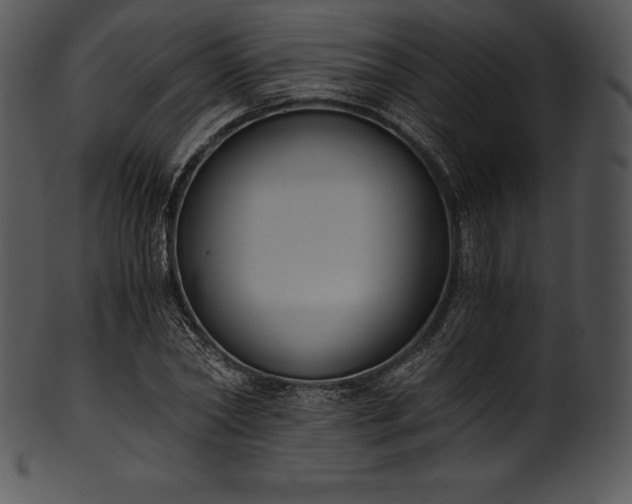 X0000101460782200807141306