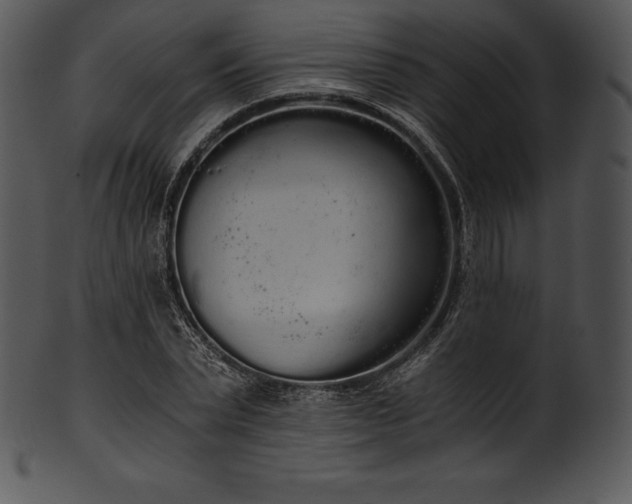 X0000101460783200807141306