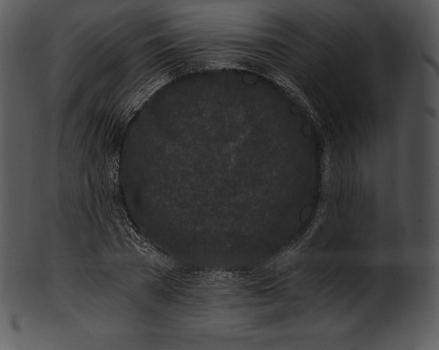 X0000101460785200807141306