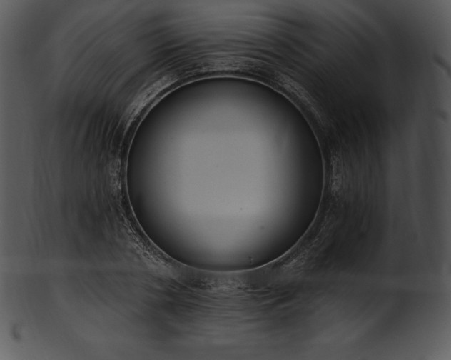 X0000101460786200807141306