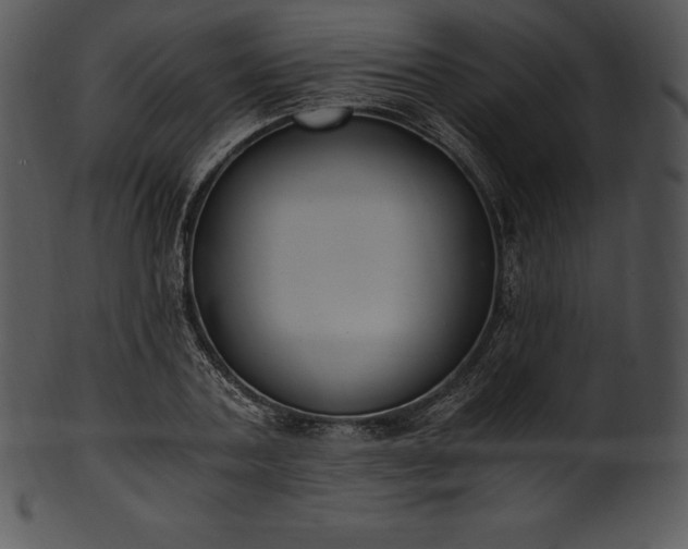 X0000101460787200807141306