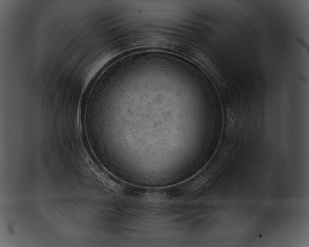 X0000101460788200807141306