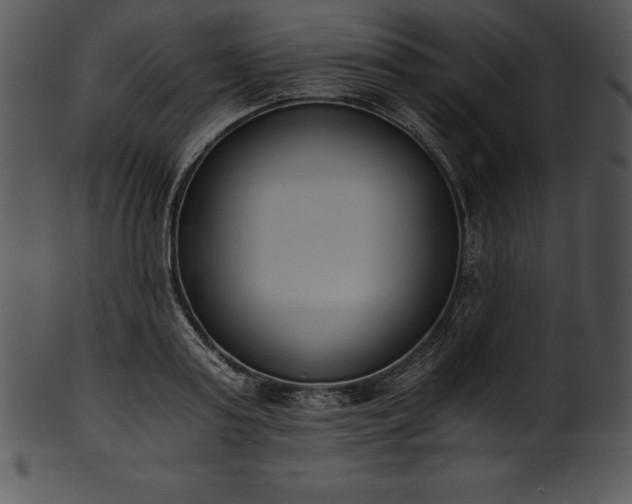 X0000101460795200807141305