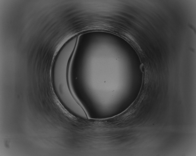 X0000101460796200807141305