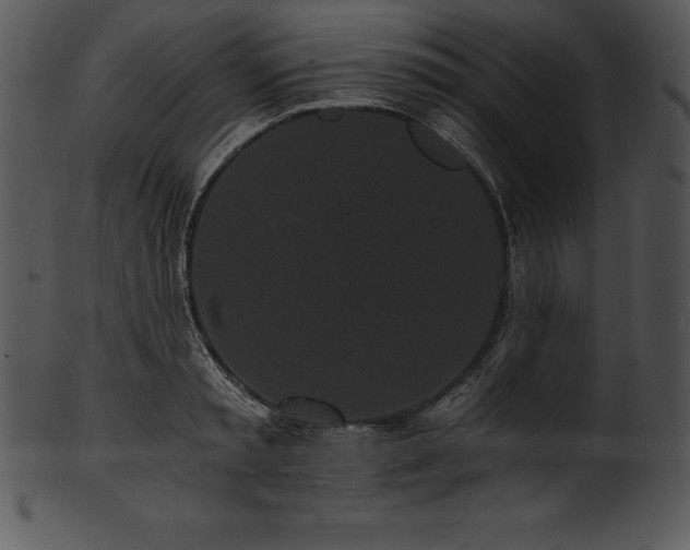 X0000101460797200807141305