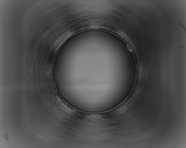 X0000101460801200807141305